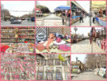 /album/trend/095-vernissage-market-jpg/